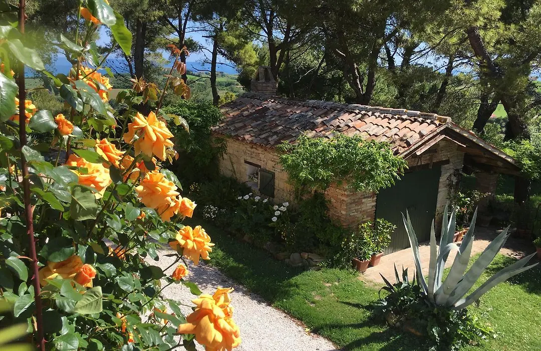 Il Colle delle Terrazze-1